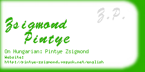 zsigmond pintye business card